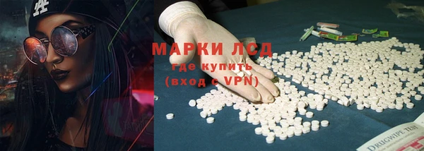 гашик Пестово