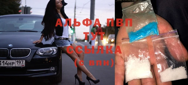 гашик Пестово