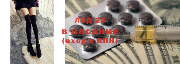 PSILOCYBIN Пересвет