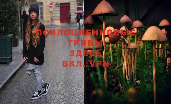 PSILOCYBIN Валуйки