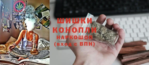 гашик Пестово