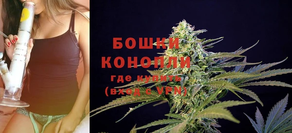 гашик Пестово