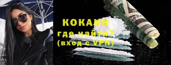 гашик Пестово