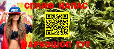 не бодяженный Гатчина